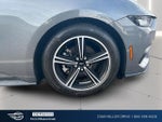 2024 Mustang Thumbnail 20