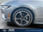 2024 Mustang Thumbnail 21