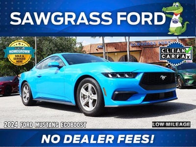2024 Ford Mustang Ecoboost 2DR Fastback