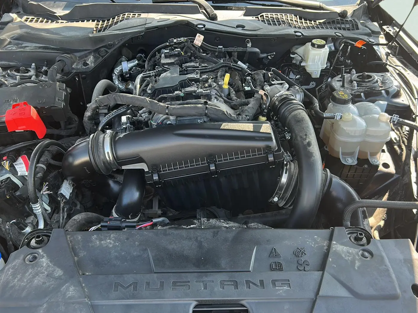 2024 Ford Mustang - $30,925