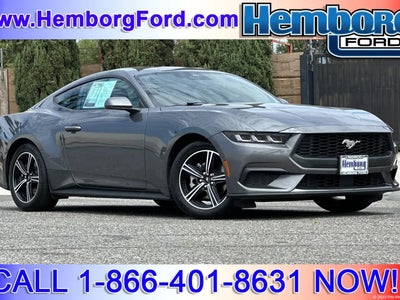 Photo of a 2024 Ford Mustang Ecoboost 2DR Fastback for sale