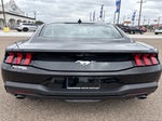 2025 Mustang Thumbnail 1