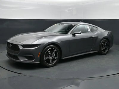 Photo of a 2025 Ford Mustang Ecoboost 2DR Fastback for sale