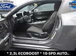 2025 Mustang Thumbnail 11