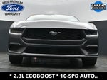 2025 Mustang Thumbnail 20