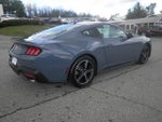 2025 Mustang Thumbnail 7