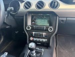 2015 Mustang Thumbnail 11