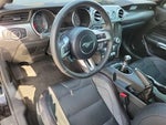 2015 Mustang Thumbnail 11