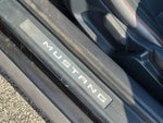2015 Mustang Thumbnail 14