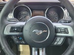 2015 Mustang Thumbnail 16