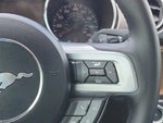 2015 Mustang Thumbnail 18