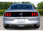 2016 Mustang Thumbnail 5