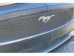2016 Mustang Thumbnail 26
