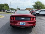 2017 Mustang Thumbnail 6