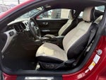 2017 Mustang Thumbnail 14