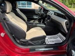 2017 Mustang Thumbnail 20
