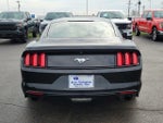 2017 Mustang Thumbnail 5