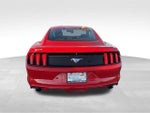 2017 Mustang Thumbnail 4