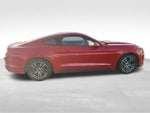 2017 Mustang Thumbnail 7