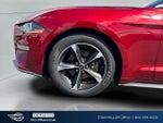2018 Mustang Thumbnail 4