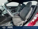 2018 Mustang Thumbnail 10
