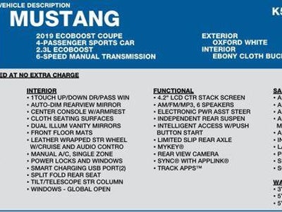 2019 Ford Mustang Ecoboost 2DR Fastback