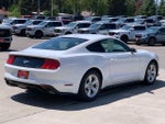 2019 Mustang Thumbnail 5