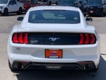2019 Mustang Thumbnail 6