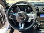 2019 Mustang Thumbnail 15