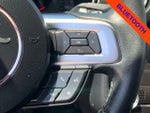 2019 Mustang Thumbnail 18