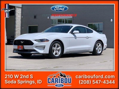2019 Ford Mustang Ecoboost 2DR Fastback