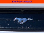 2019 Mustang Thumbnail 8