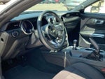 2019 Mustang Thumbnail 13