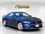 2019 Mustang Thumbnail 1