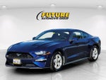 2019 Mustang Thumbnail 3
