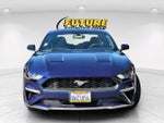 2019 Mustang Thumbnail 4