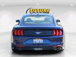 2019 Mustang Thumbnail 5