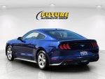 2019 Mustang Thumbnail 6