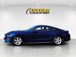2019 Mustang Thumbnail 8