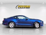 2019 Mustang Thumbnail 9