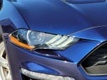 2019 Mustang Thumbnail 11