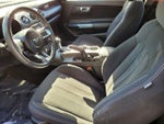2019 Mustang Thumbnail 12