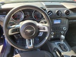 2019 Mustang Thumbnail 13