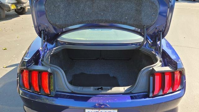 2019 Ford Mustang EcoBoost
