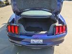 2019 Mustang Thumbnail 17