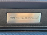 2019 Mustang Thumbnail 19
