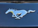 2019 Mustang Thumbnail 27