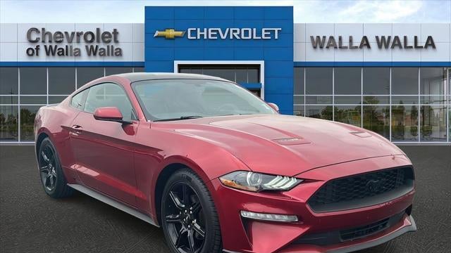 Preowned 2019 Ford Mustang EcoBoost for Sale