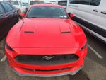 2019 Mustang Thumbnail 2