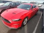 2019 Mustang Thumbnail 3